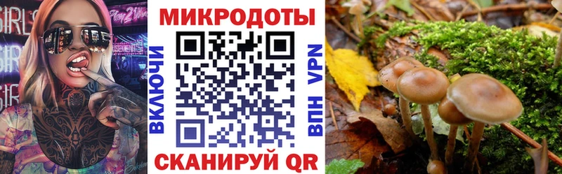 даркнет сайт  Петрозаводск  Псилоцибиновые грибы GOLDEN TEACHER 